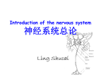 Angiology 脉管系统