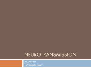 Neurotransmission