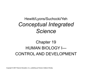 Human Biology I - Control and Development