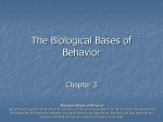 The Biological Bases of Behavior