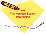 The Nervous System Introducion