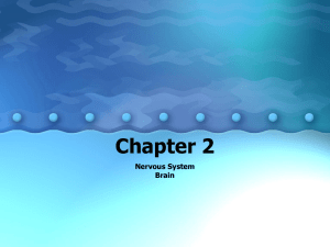 Chapter 2 - bobcat