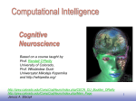 Cognitive Neuroscience