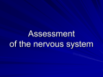 14. Assessment of the nervous system