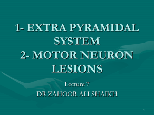 extra pyramidal system - Mcst
