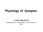 01 Physiology of Synaptic Transmission