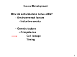 02/28 PPT - Molecular and Cell Biology