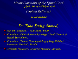 01-Spinal Reflexes Student`s Copy