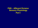 Afferent (Sensory) Division Part 1