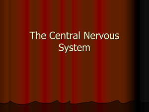 The Central Nervous System