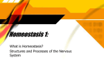 Homeostasis 1