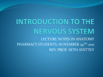 introduction to the nervous system