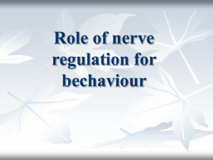 Role of the Nerve and Endocrine Understanding the Human Behavior