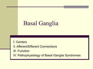 Basal Ganglia