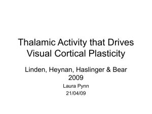 Thalamic Activity that Drives Visual Cortical Plasticity