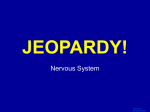 jeopardy review nervous system