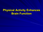 Exercise Enhances Brain Health