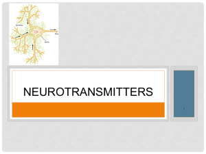 4 Neurotransmitters