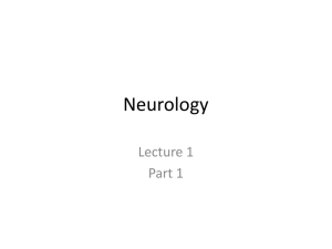 Neurology - Porterville College