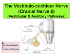 9-Cranial nerve 8 (Vestibulo