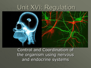 Unit XIV: Regulation