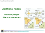 N. Synapse & Neurotransmitter
