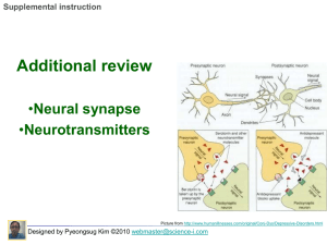 N. Synapse & Neurotransmitter