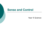 Sense and Control