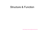 Structure & Function - local.brookings.k12.sd.us