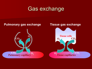 CO 2