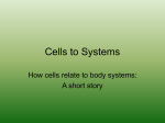 Cells, Tissue, Organ, System