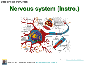Begin Nervous system
