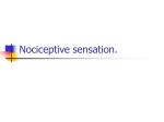 44 Nociceptive sensation. Somatic sensory analyzer