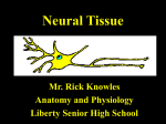 Neural Tissue - Liberty Public Schools