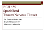 BCH 450 Nervous Tissues