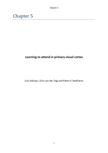 Chapter 5 Learning to attend in primary visual cortex