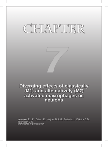 7 CHAPTER Diverging effects of classically (M1) and alternatively (M2)