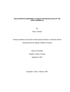 NUCLEI-SPECIFIC RESPONSE TO PAIN IN THE BED NUCLEUS OF THE By