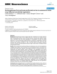 BMC Neuroscience Serial pathways from primate prefrontal cortex to autonomic areas