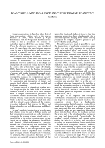 Modern neuroscience is based on ideas derived