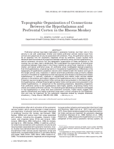 Topographic Organization of Connections Between the Hypothalamus and