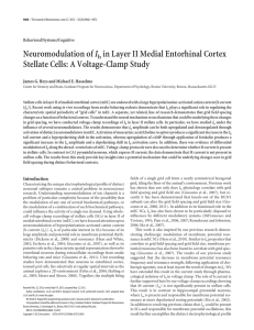Neuromodulation of in Layer II Medial Entorhinal Cortex I