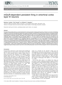 mGluR-dependent persistent firing in entorhinal cortex layer III neurons SYNAPTIC MECHANISMS Motoharu Yoshida,