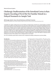 Cholinergic Deafferentation of the Entorhinal Cortex in Rats