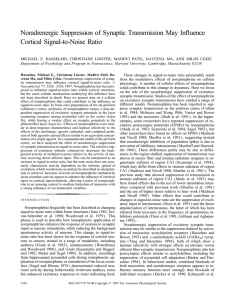 Noradrenergic Suppression of Synaptic Transmission May Influence Cortical Signal-to-Noise Ratio