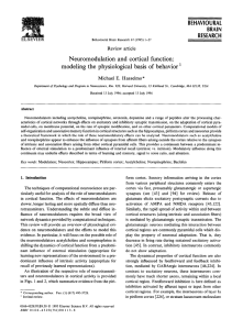Neuromodulation  and  cortical  function: BEHAVIOURAL BRAIN