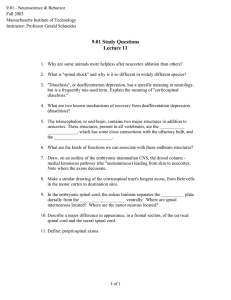 9.01 - Neuroscience &amp; Behavior Fall 2003 Massachusetts Institute of Technology