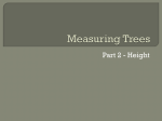 Measuring Trees