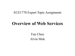 What is Web Services