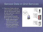 Service Data in Grid Services
